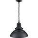 Adda LED 13.03 inch Powder Coated Black Outdoor Hanging Lantern